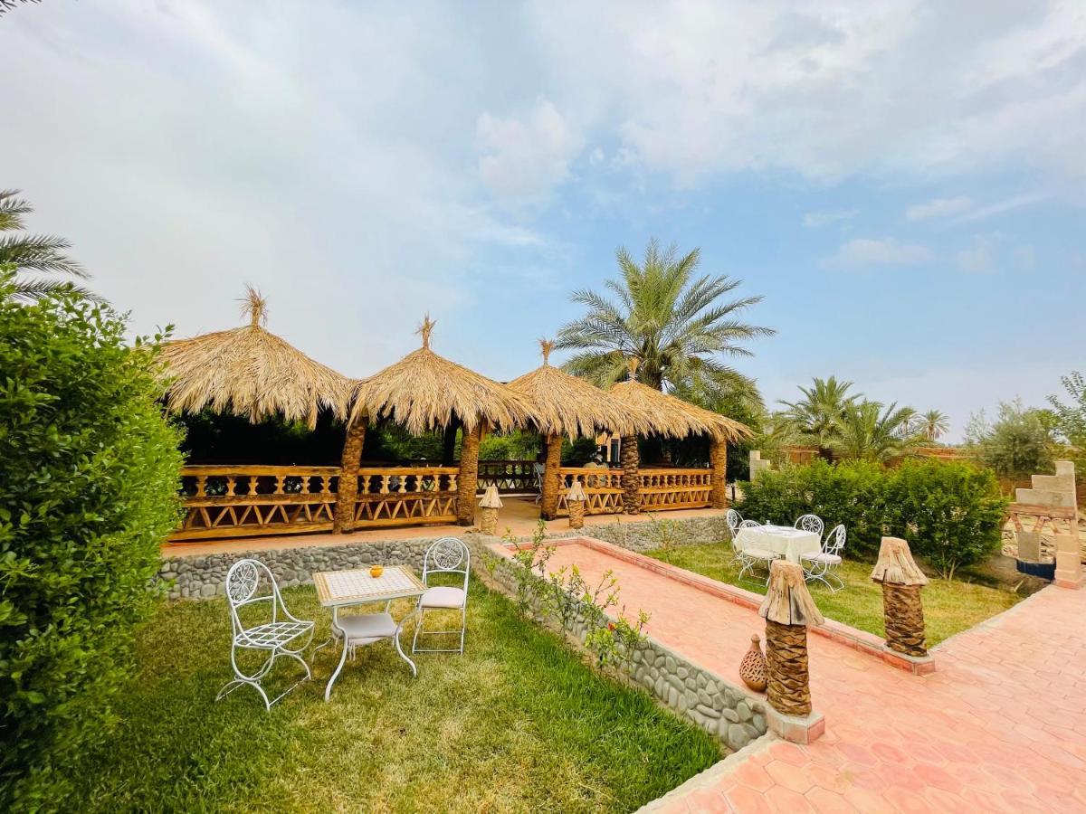 Paradis Touareg Zagora Εξωτερικό φωτογραφία