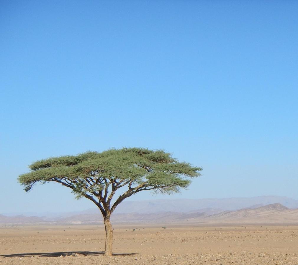Paradis Touareg Zagora Εξωτερικό φωτογραφία